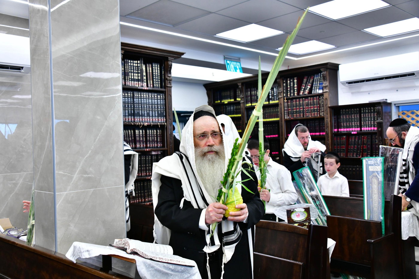 הגר"ש שטיינמן בנטילת לולב