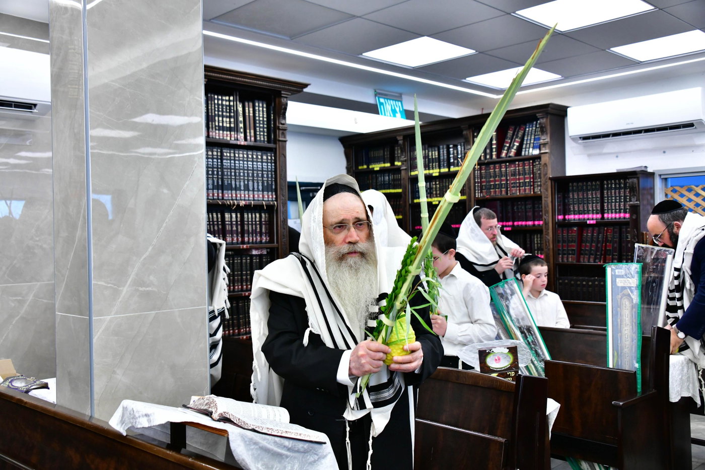 הגר"ש שטיינמן בנטילת לולב