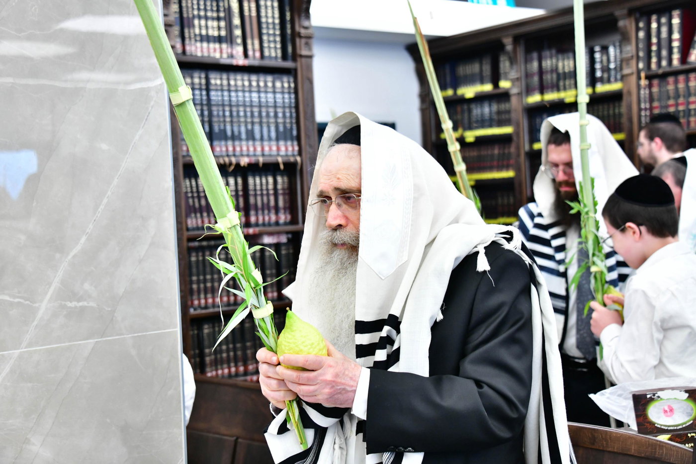 הגר"ש שטיינמן בנטילת לולב