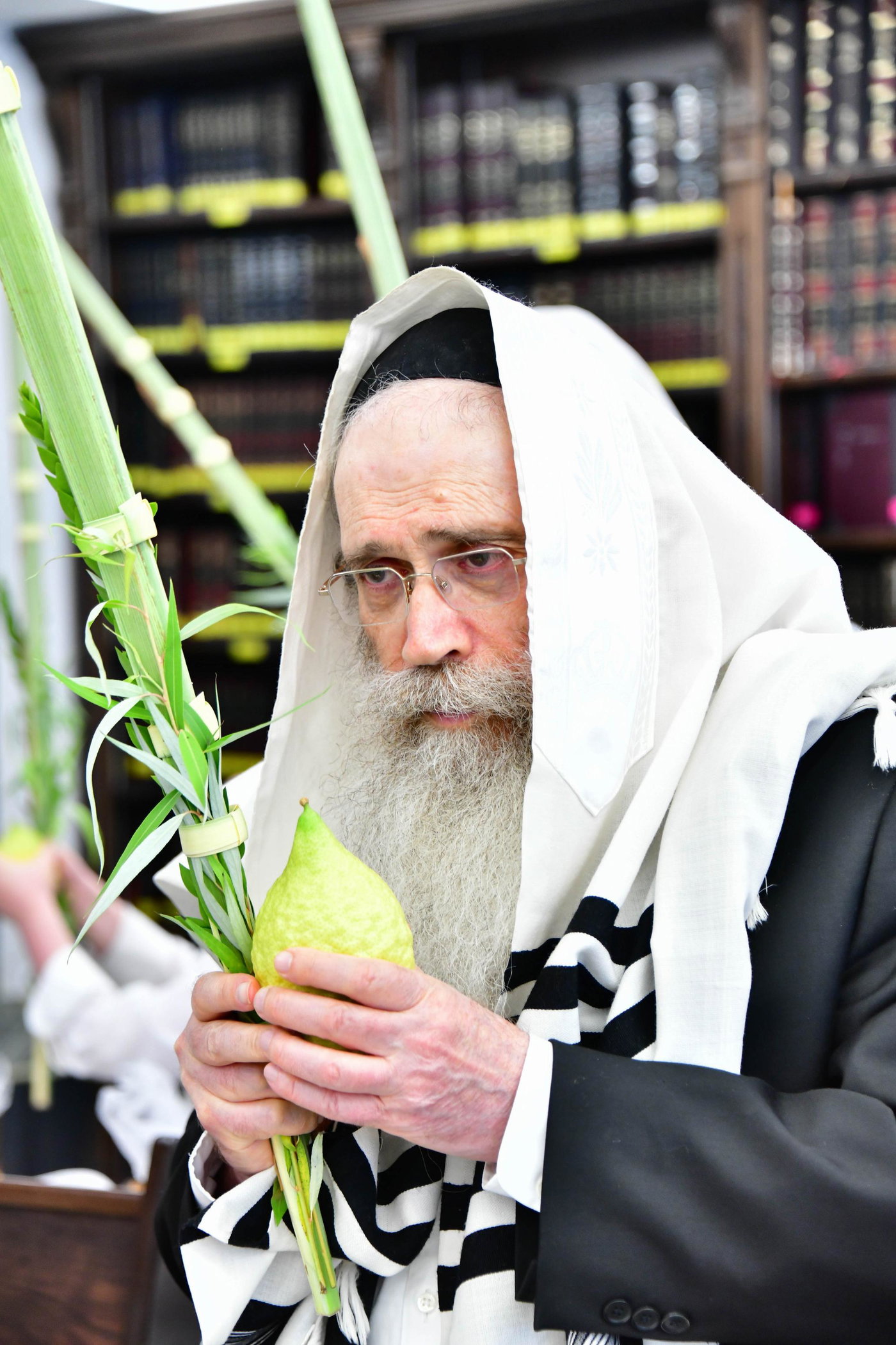 הגר"ש שטיינמן בנטילת לולב