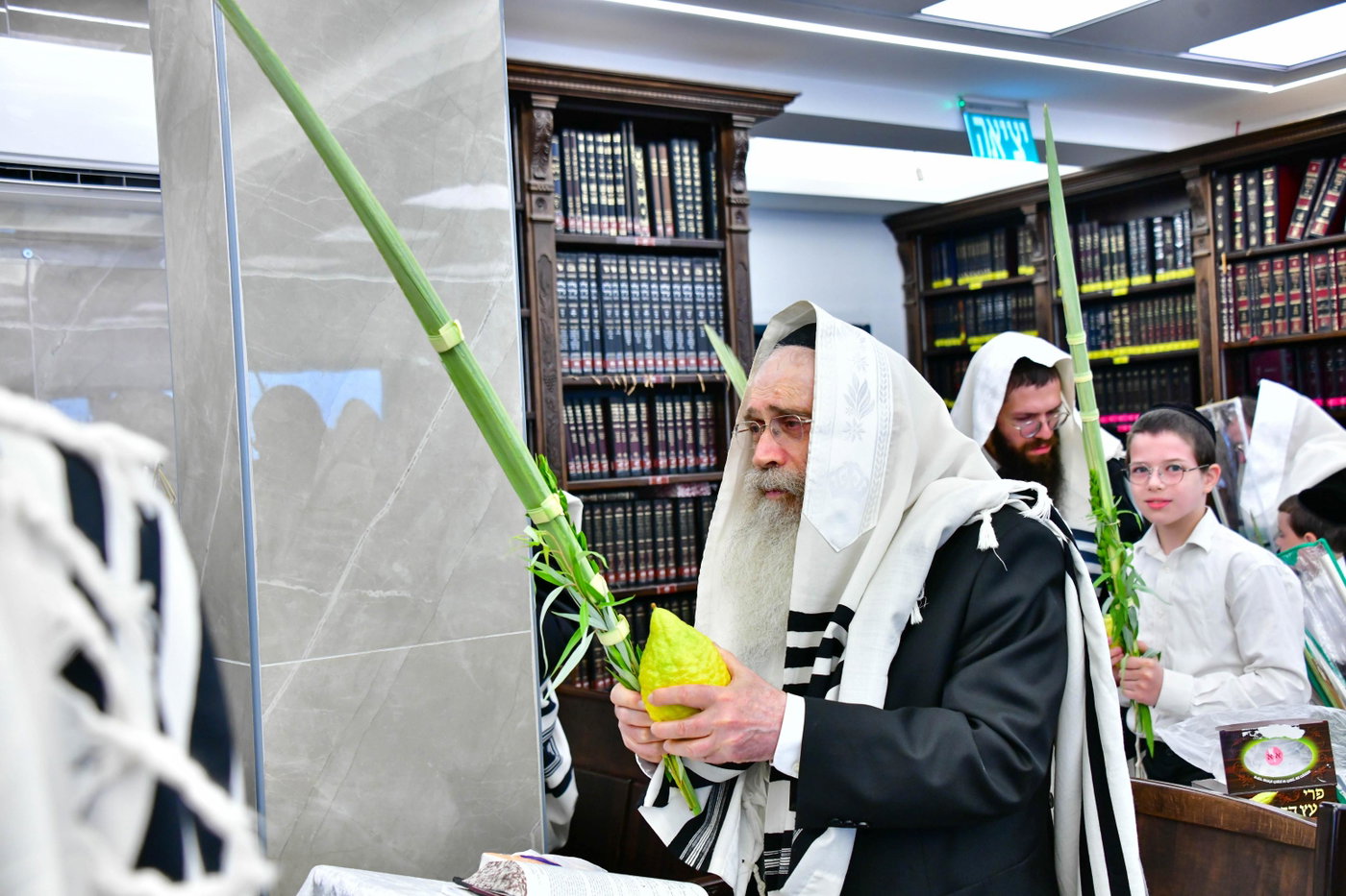 הגר"ש שטיינמן בנטילת לולב
