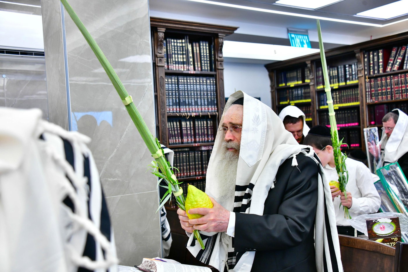 הגר"ש שטיינמן בנטילת לולב