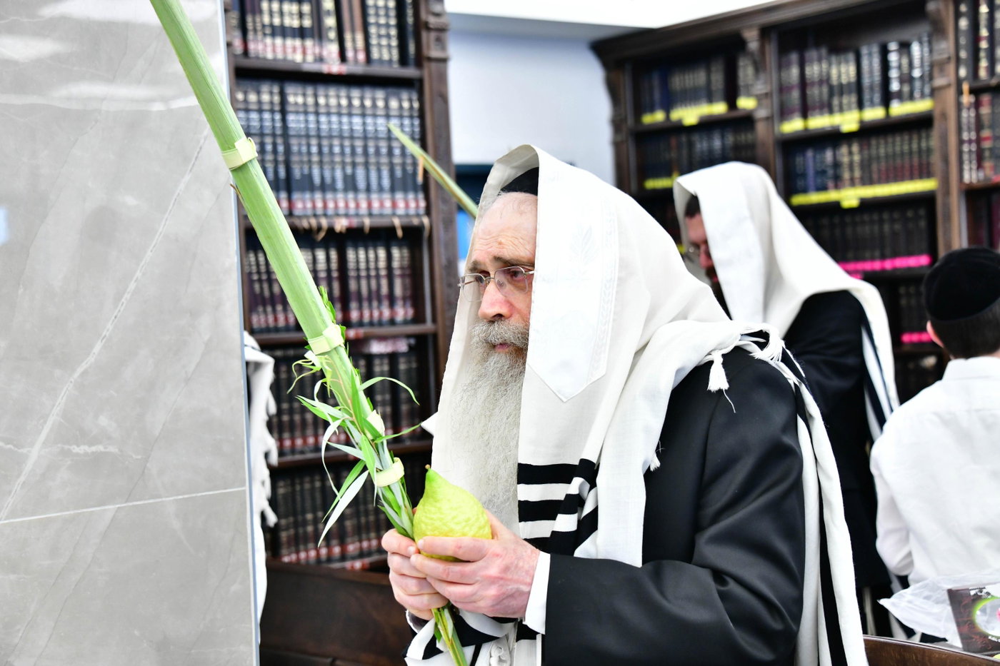 הגר"ש שטיינמן בנטילת לולב