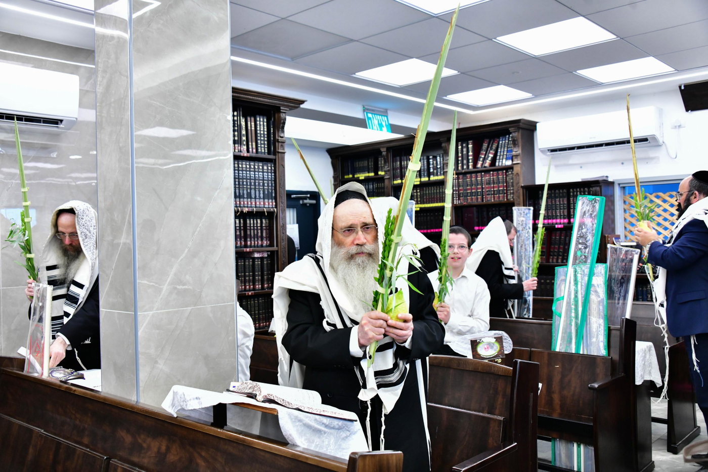הגר"ש שטיינמן בנטילת לולב