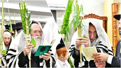 האדמו"ר מאלכסנדר והגר"א טוסיג בנענועים