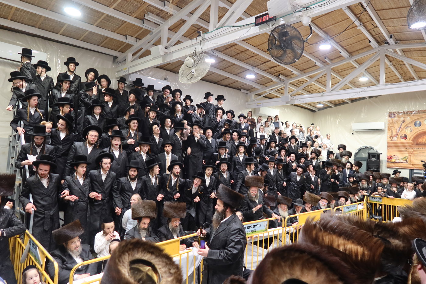 סוכות בחצה"ק זוועהיל