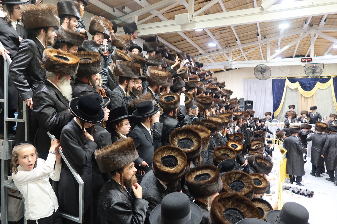 סוכות בחצה"ק זוועהיל