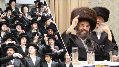 סוכות בחצה"ק זוועהיל