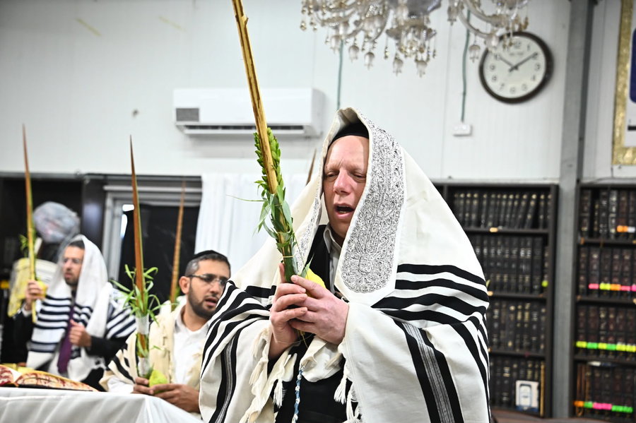 הרב ליאור גלזר בנטילת לולב