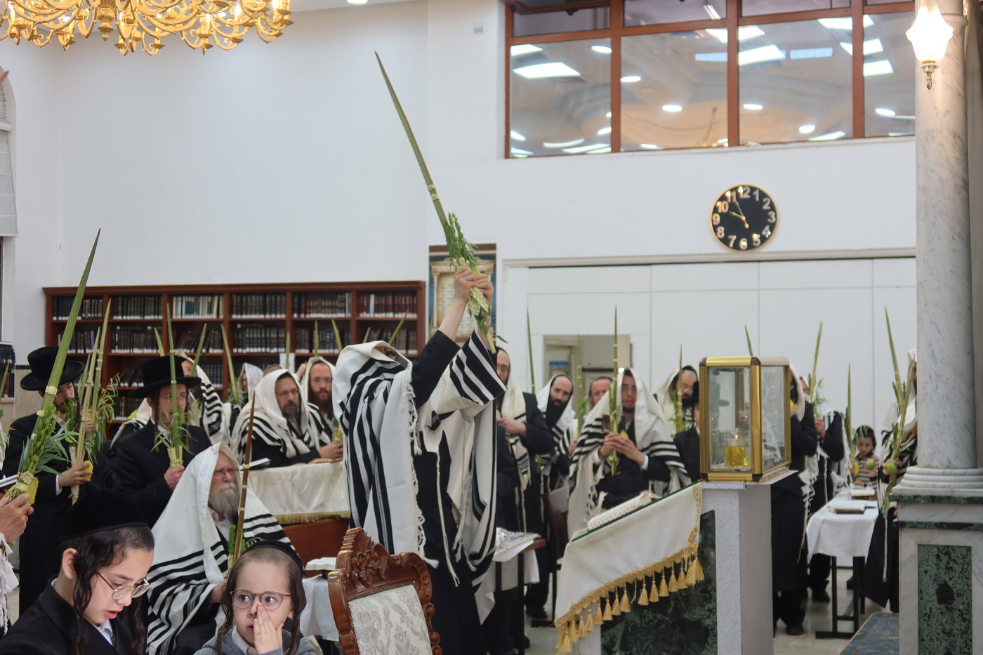 סוכות בחצה"ק זוועהיל