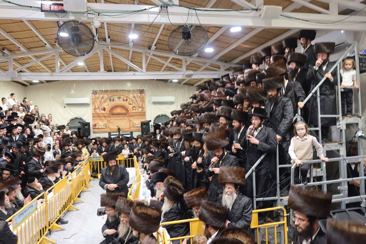 סוכות בחצה"ק זוועהיל