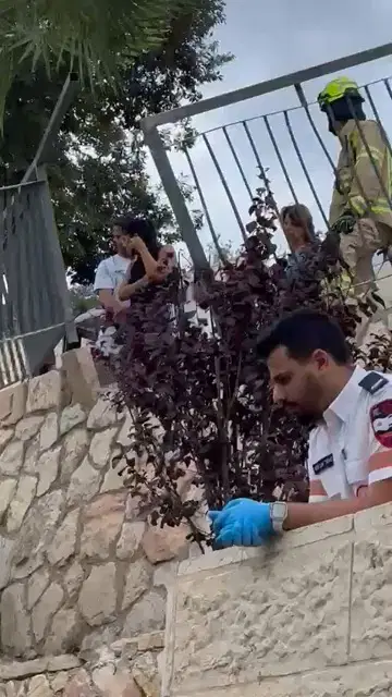 נס בגילה: צנחה מגובה 5 מטרים לגינה וחולצה בידי הכבאים | צפו