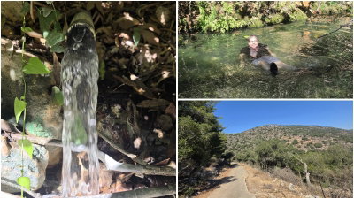 בשורה נפלאה: המים חזרו לעיינות כרכרה שבנחל בצת | תיעוד מפעים