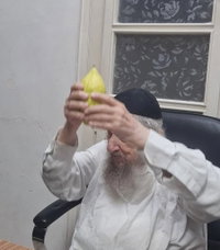 מאחורי הקלעים; מדוע ביקש ראש הישיבה לעשות קנין באתרוג?