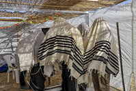 ברכת כהנים בסוכה
