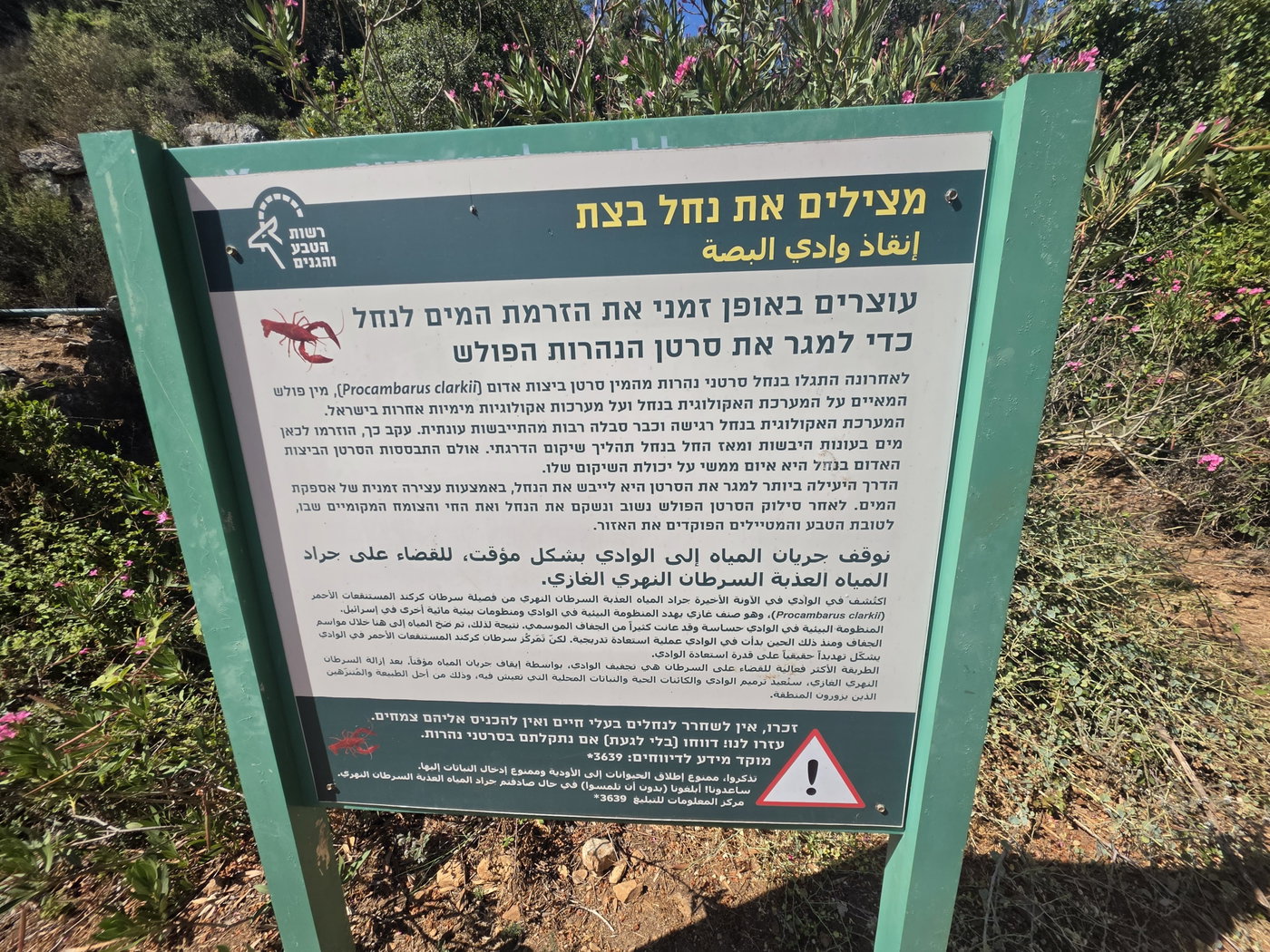 נחל בצת