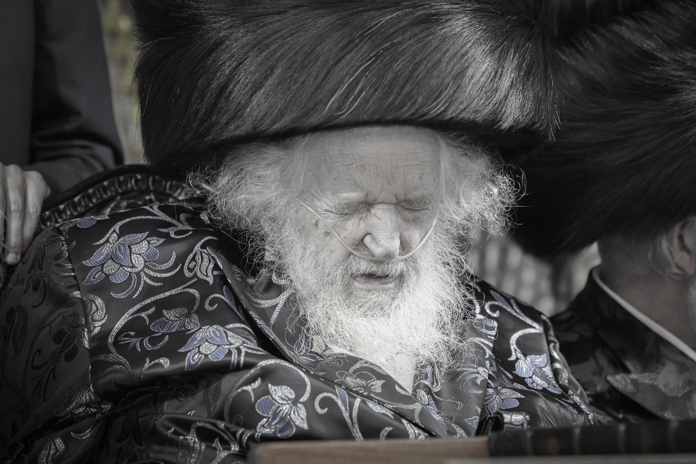 חג הסוכות אצל הגר"מ שטרנבוך