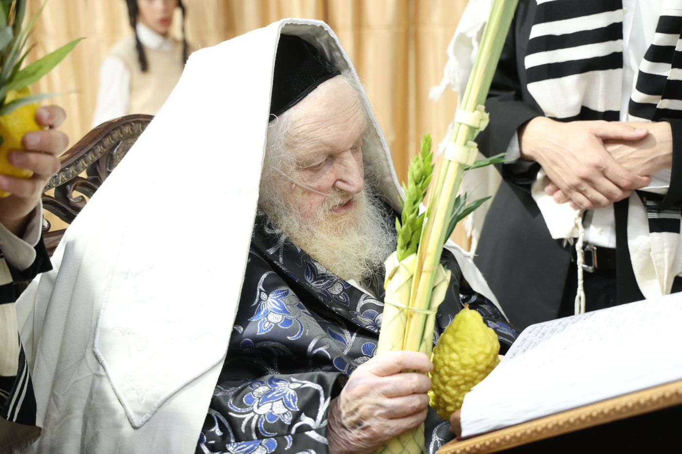 חג הסוכות אצל הגר"מ שטרנבוך