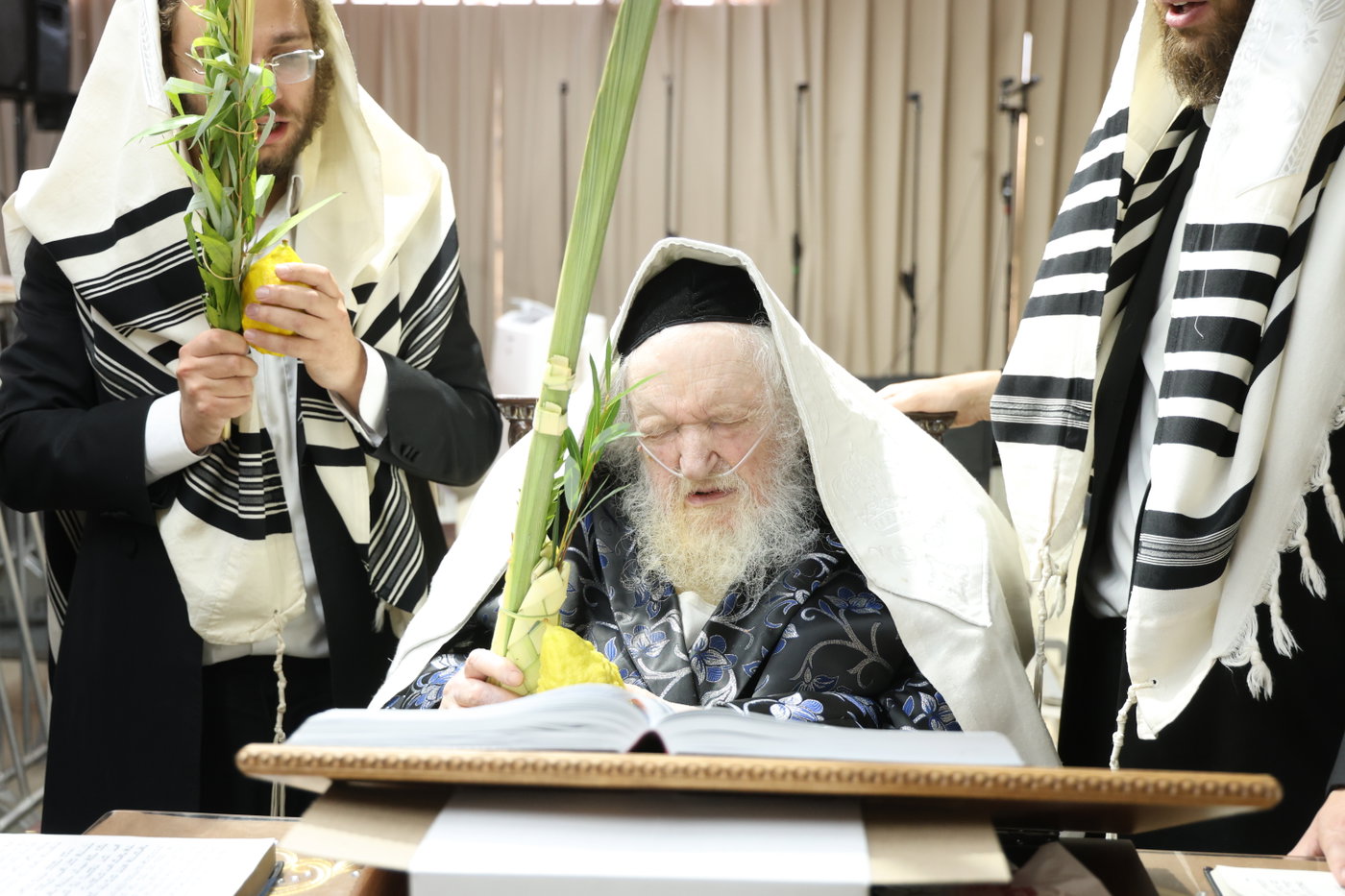 חג הסוכות אצל הגר"מ שטרנבוך