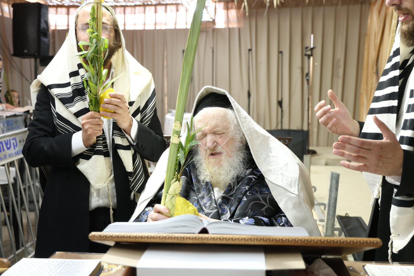 חג הסוכות אצל הגר"מ שטרנבוך