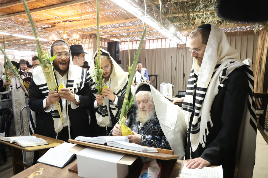 מכל קצווי תבל; תיעוד ענק מחג הסוכות בצל קודשו של הפוסק הגר"מ שטרנבוך
