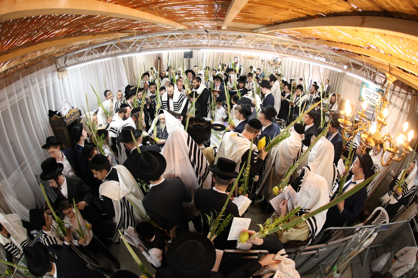 חג הסוכות אצל הגר"מ שטרנבוך
