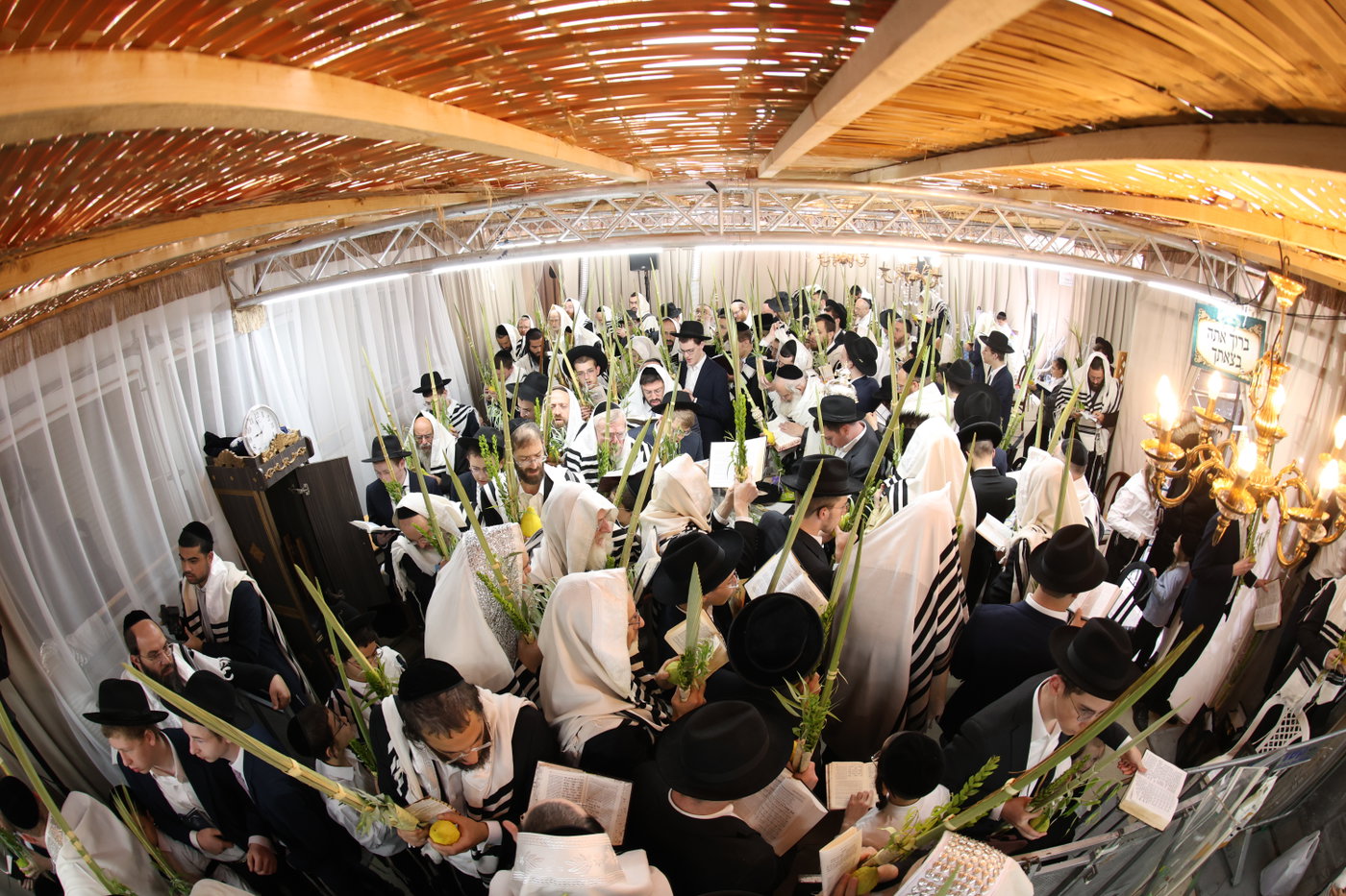 חג הסוכות אצל הגר"מ שטרנבוך