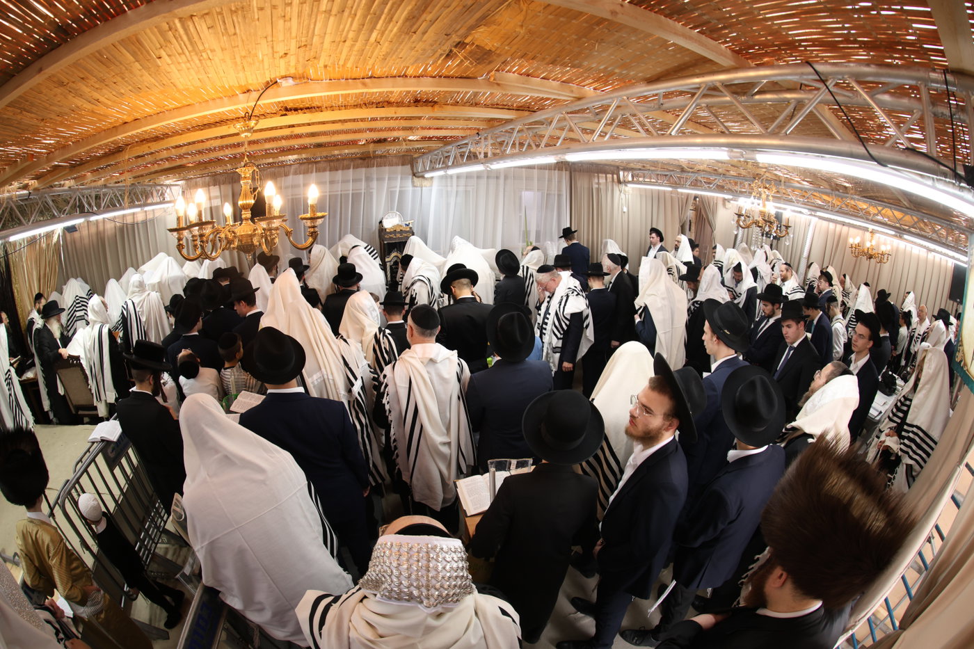 חג הסוכות אצל הגר"מ שטרנבוך