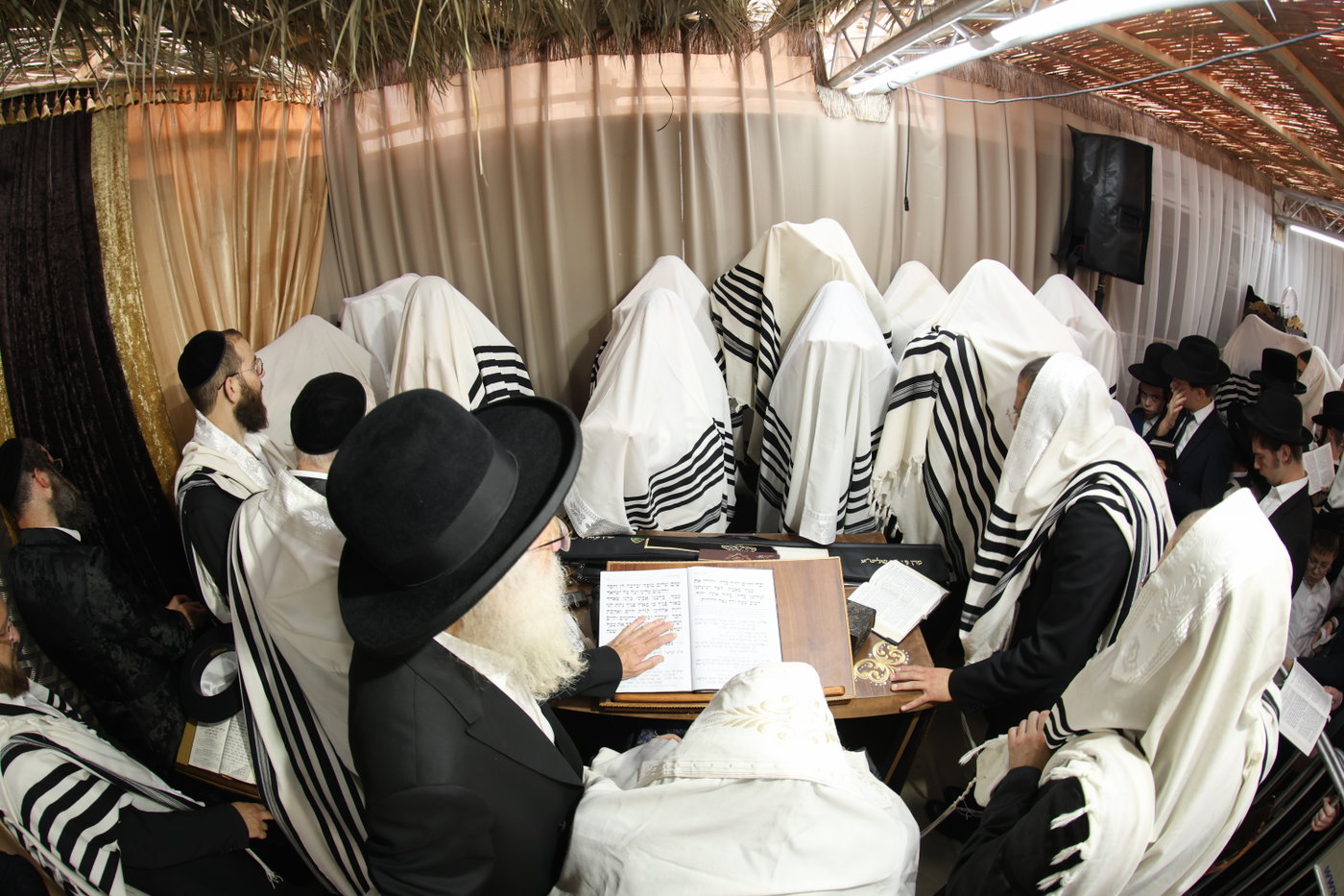 חג הסוכות אצל הגר"מ שטרנבוך