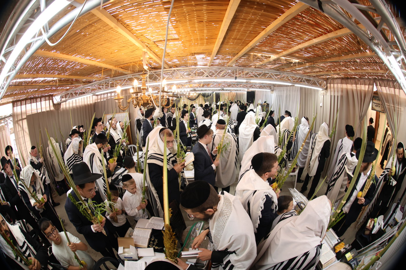 חג הסוכות אצל הגר"מ שטרנבוך