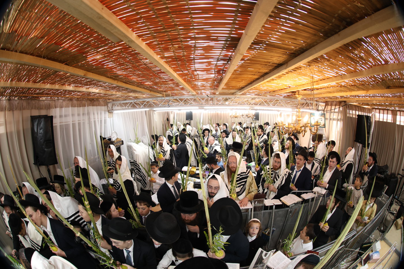 חג הסוכות אצל הגר"מ שטרנבוך