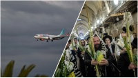 הנענועים של הלולב שהחזיקו את המטוס בשמיים: הרהורים והודיה על הנס הגדול