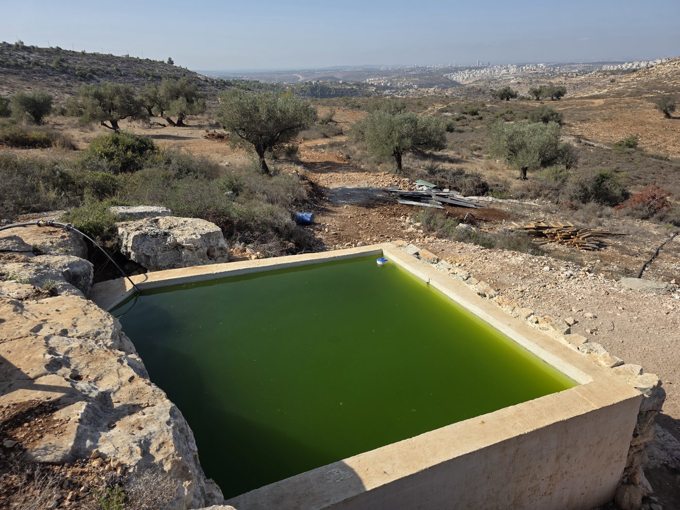 ישראל שפירא בישוב שדה אפרים. ניתן להבחין באופק הקרוב במודיעין עילית | צולם מעיין החמישה שלא פעיל כרגע