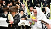 בדבקות עליונה; הושענא רבה והקפות שניות בצל הרבי מרחמסטריווקא
