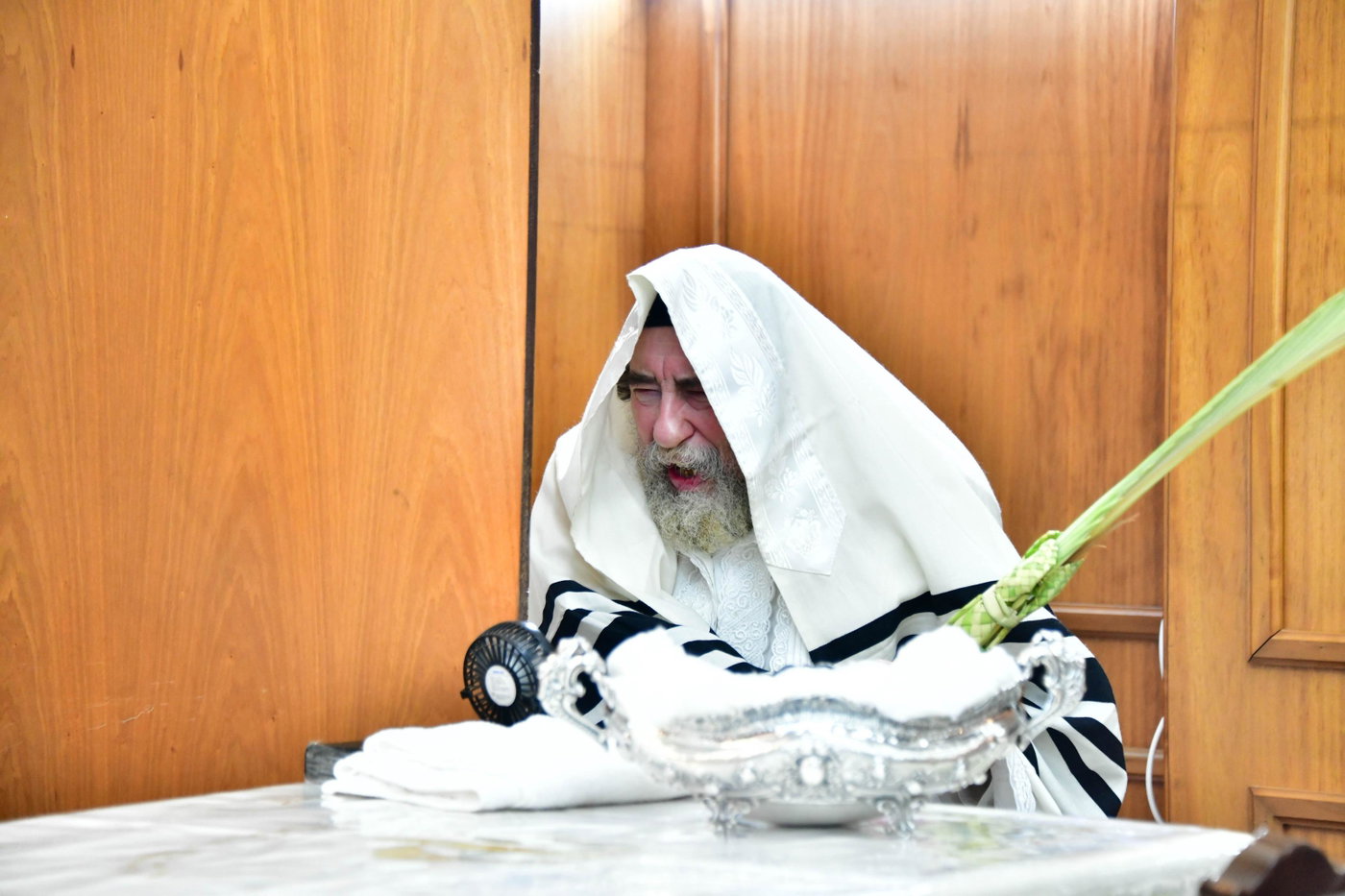 הושענא רבה בחצה"ק רחמסטריווקא