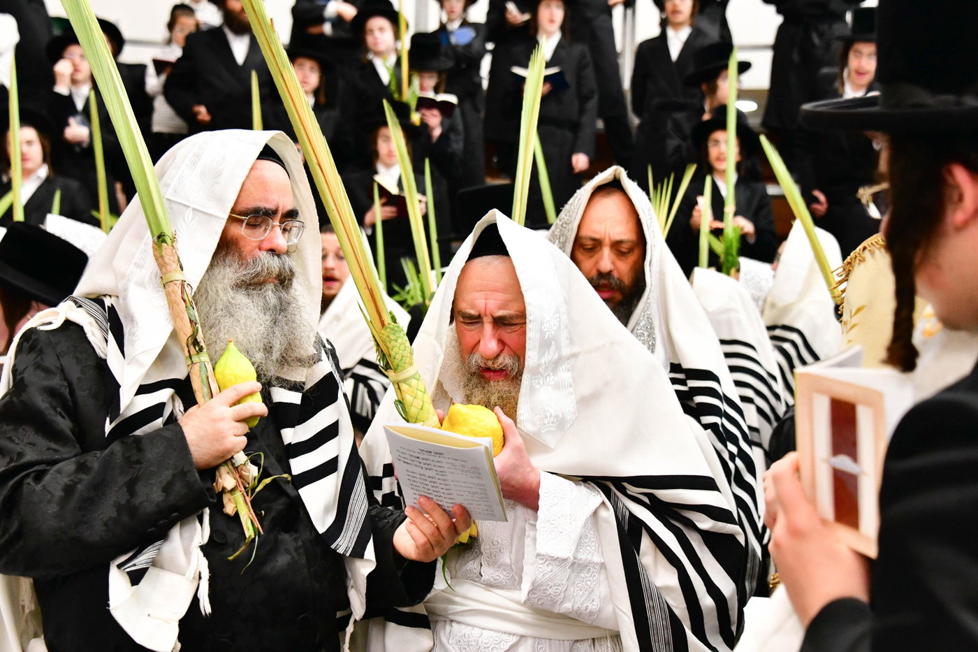 הושענא רבה בחצה"ק רחמסטריווקא