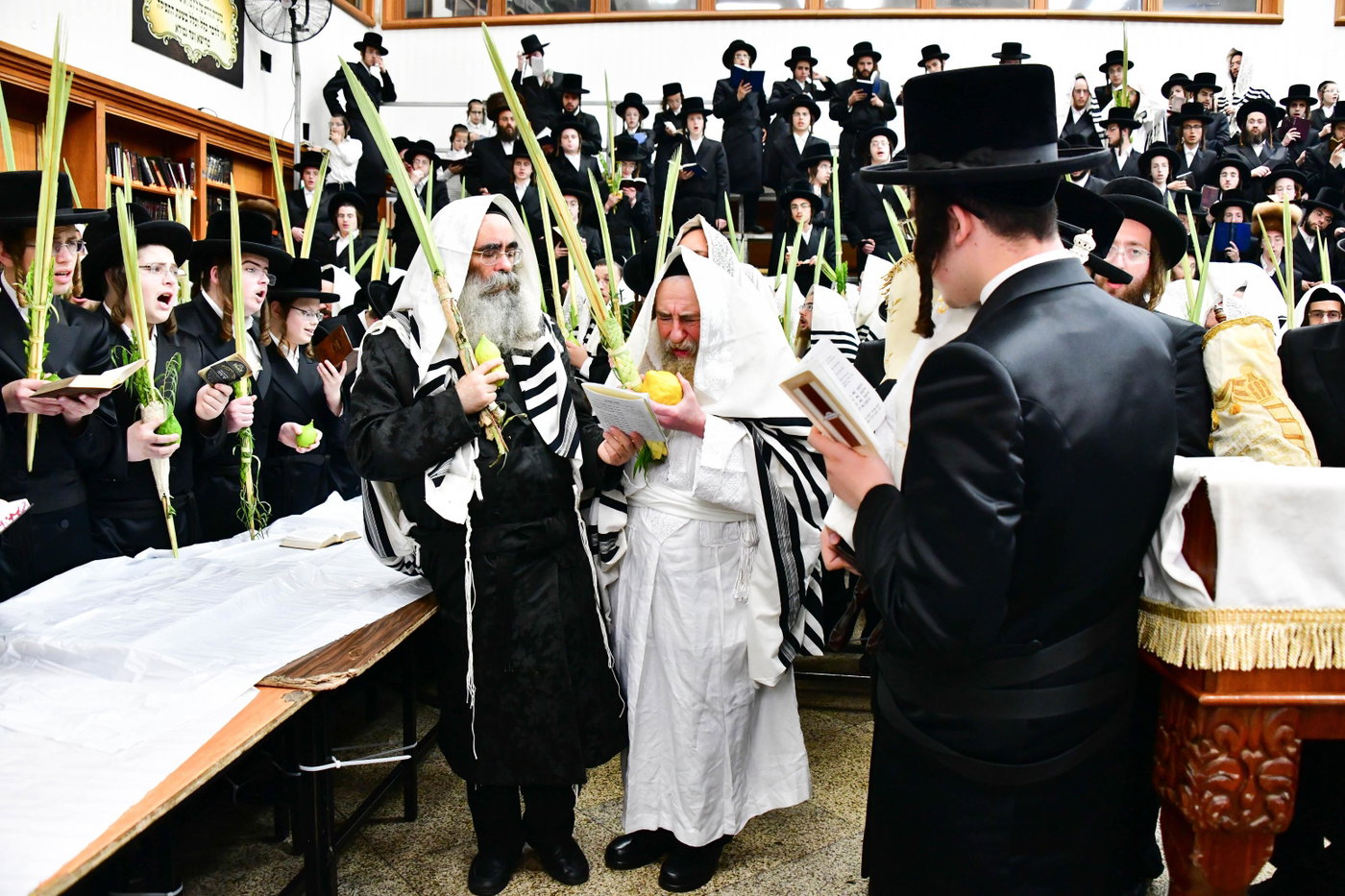 הושענא רבה בחצה"ק רחמסטריווקא