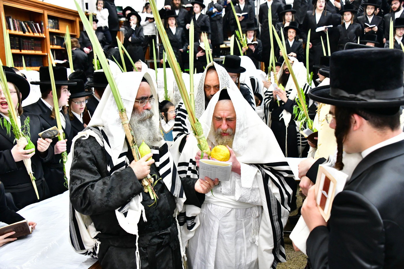 הושענא רבה בחצה"ק רחמסטריווקא