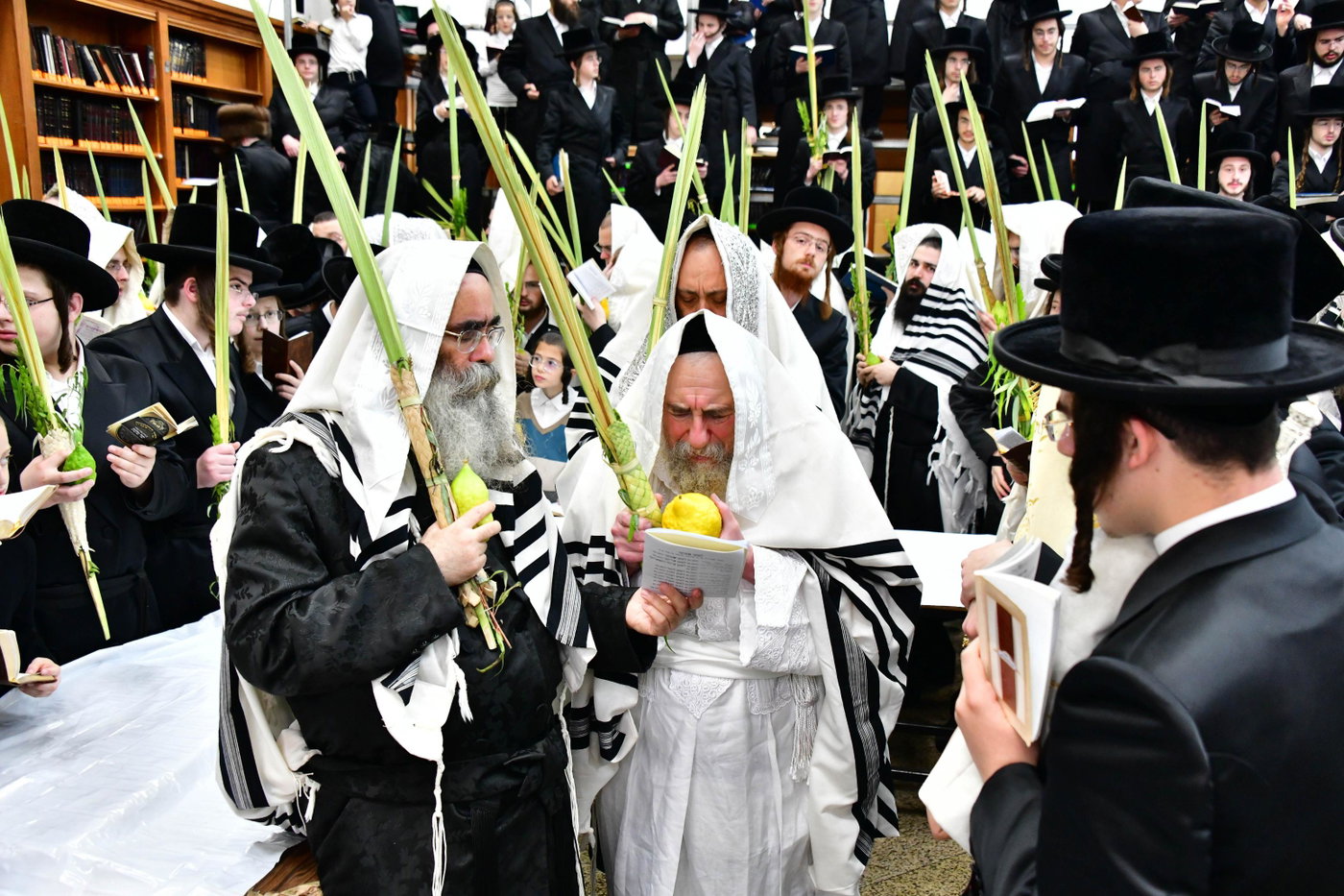 הושענא רבה בחצה"ק רחמסטריווקא