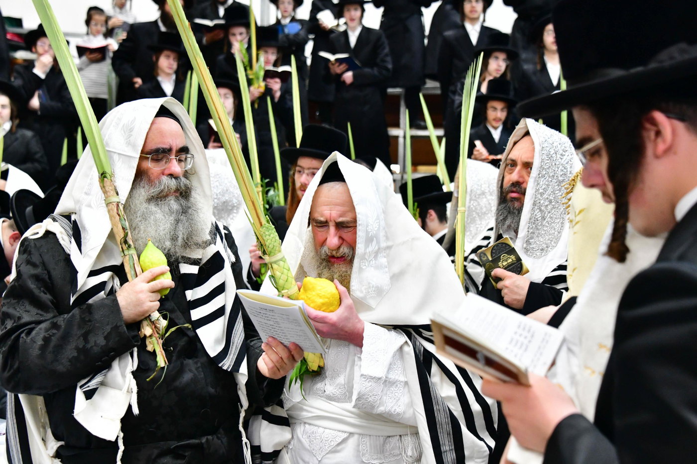הושענא רבה בחצה"ק רחמסטריווקא