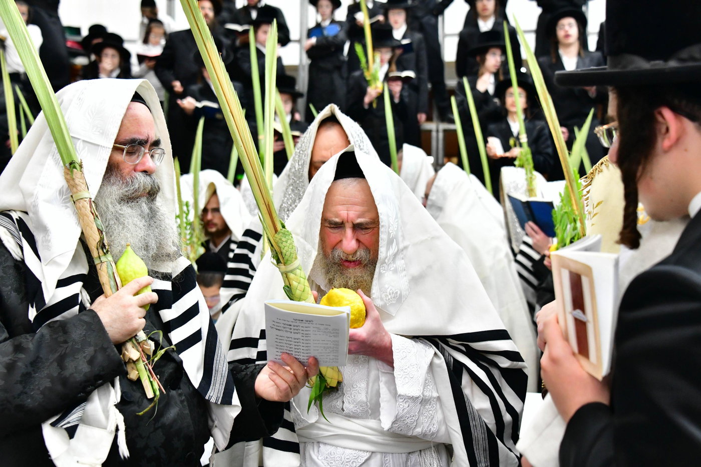 הושענא רבה בחצה"ק רחמסטריווקא