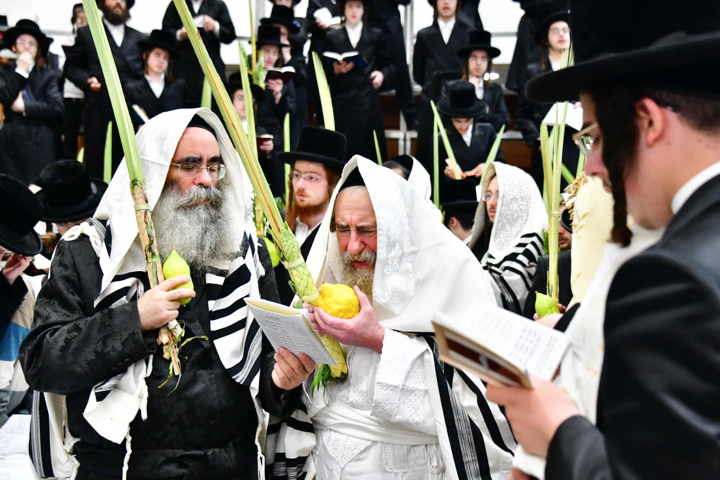 הושענא רבה בחצה"ק רחמסטריווקא