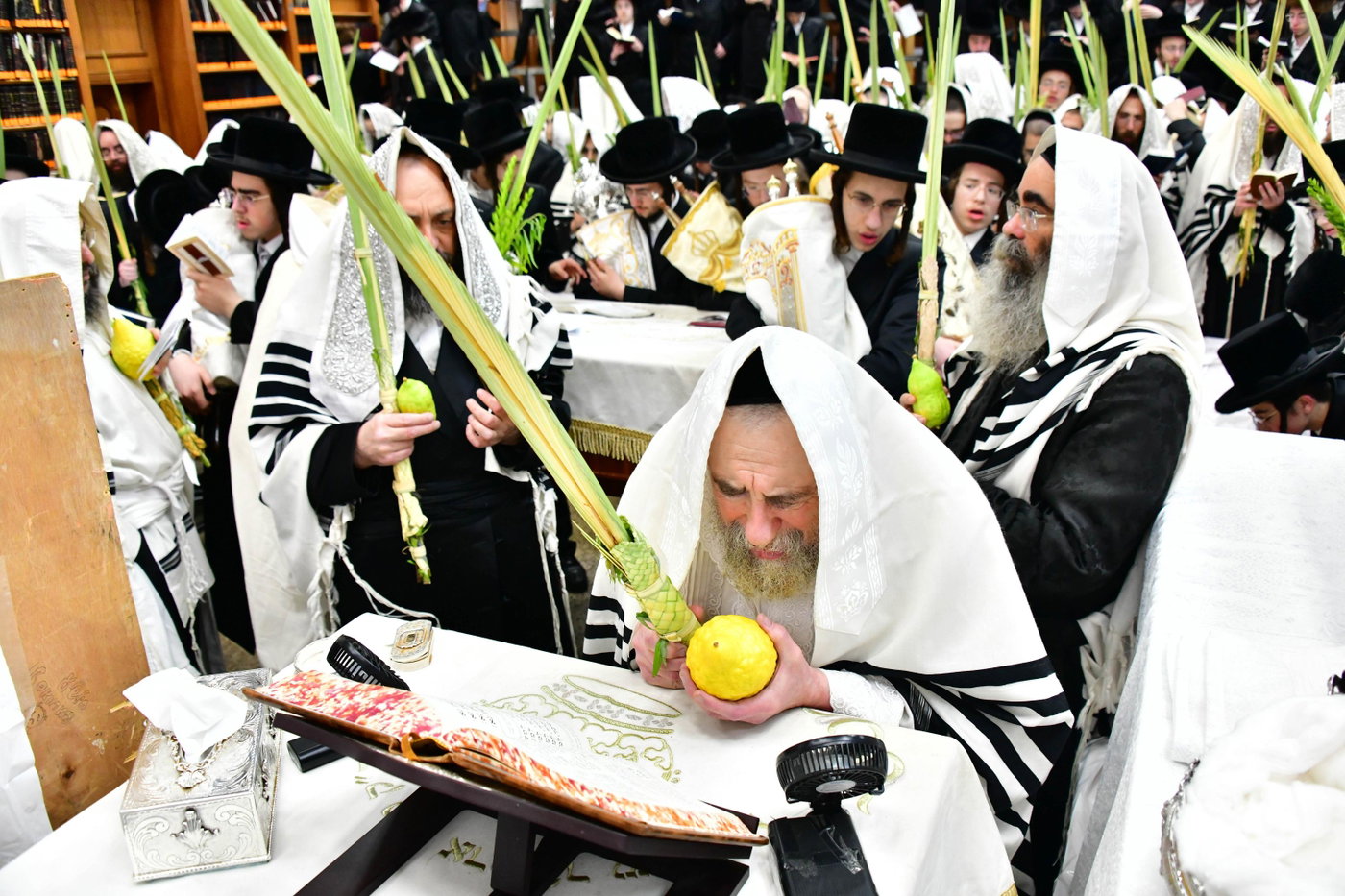 הושענא רבה בחצה"ק רחמסטריווקא