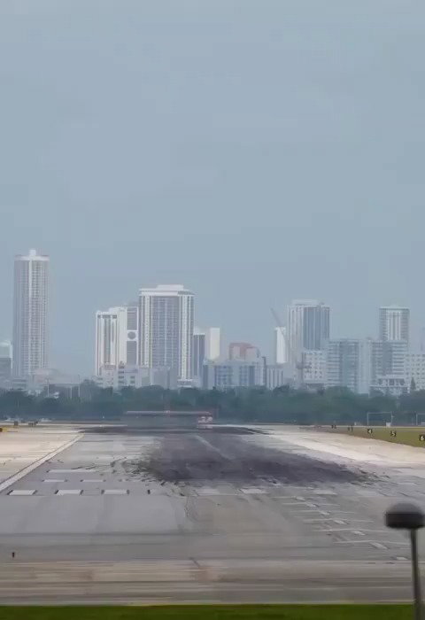 טיסה אל המוות: כשהאויב מספר אחד שלכם מחליט להתאבד