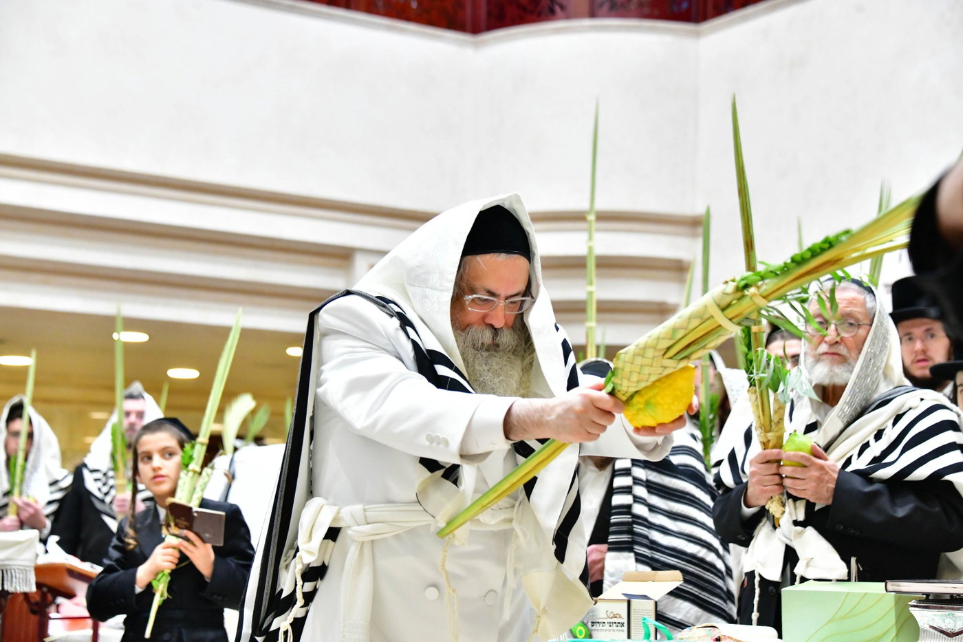 הושענא רבה בחצה"ק טולנא