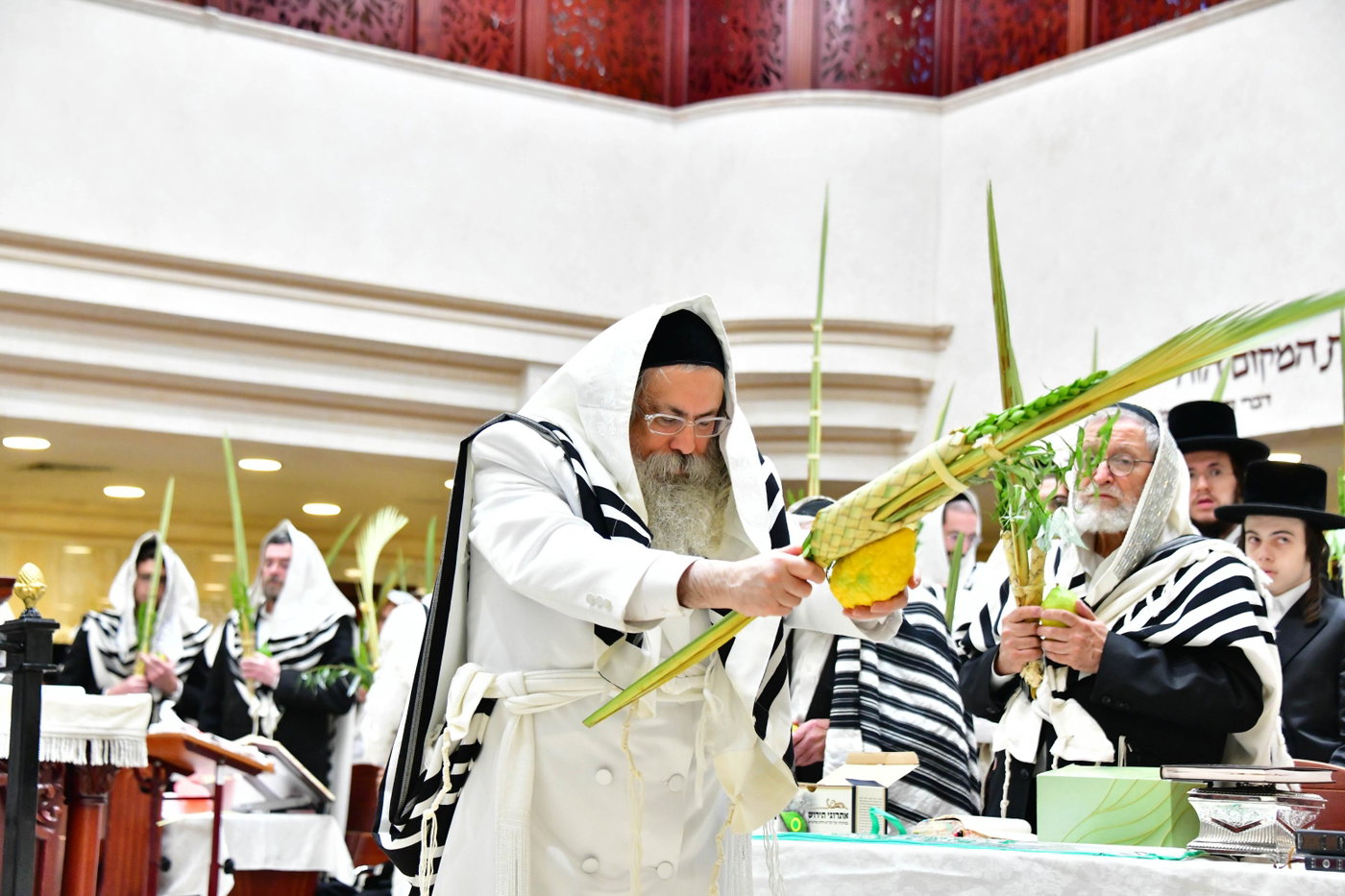 הושענא רבה בחצה"ק טולנא