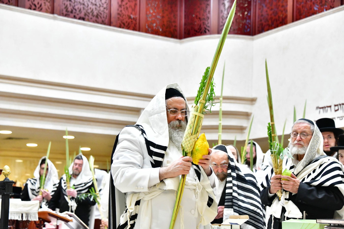 הושענא רבה בחצה"ק טולנא