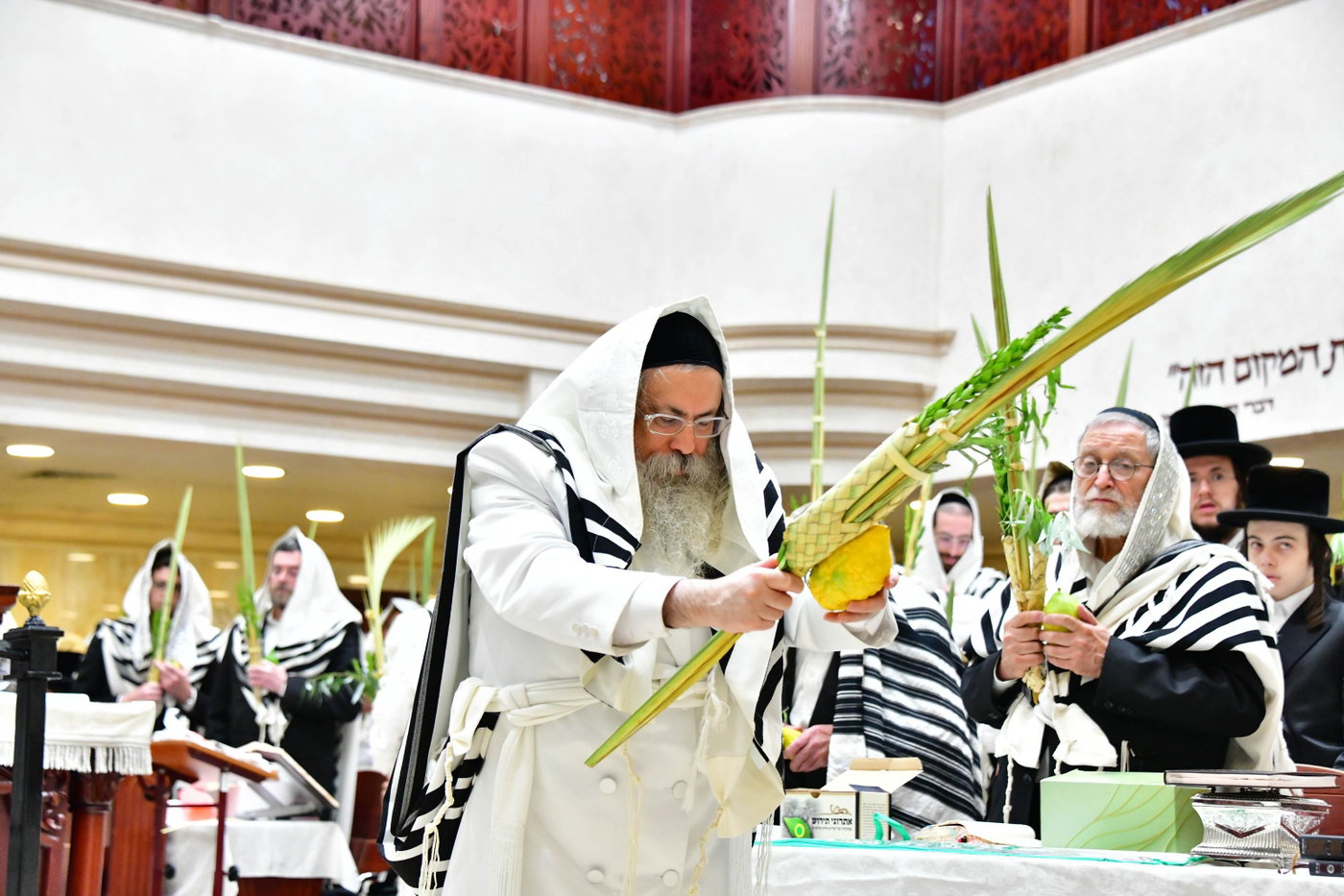 הושענא רבה בחצה"ק טולנא
