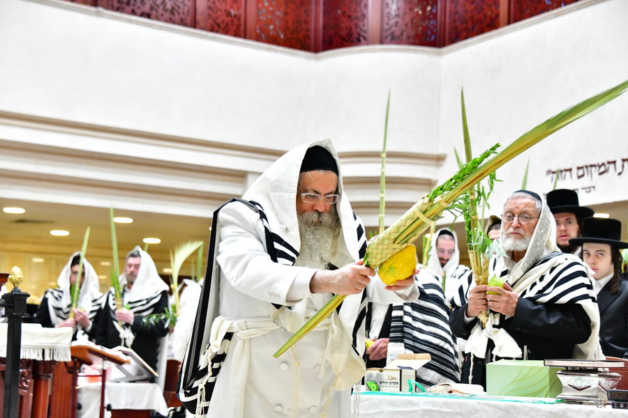 הושענא רבה בחצה"ק טולנא