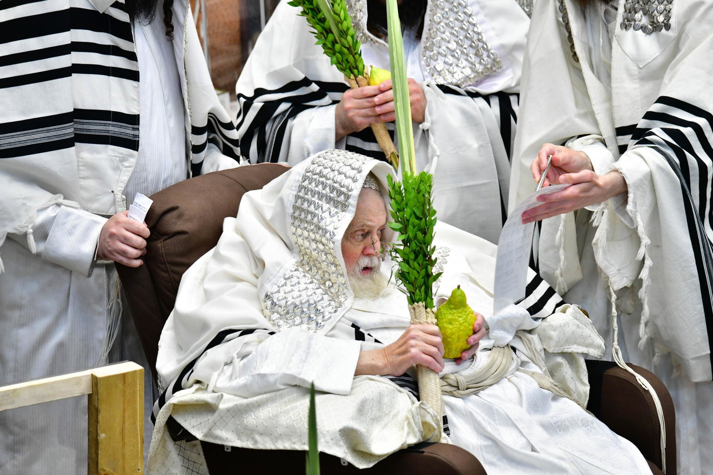 הושענא רבה בחצה"ק תולדות אברהם יצחק